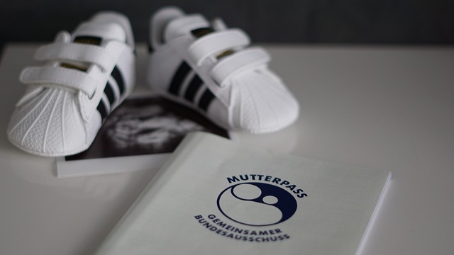 mother-pass-4352721_640